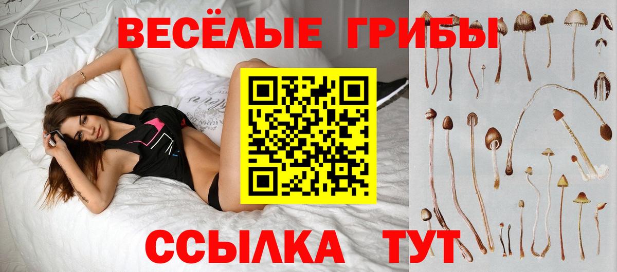 Можайск  Галлюциногенные грибы прущие грибы  купить наркотик  Вход с VPN 